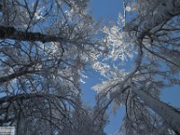 2017-12-29 V. del Morretano 055